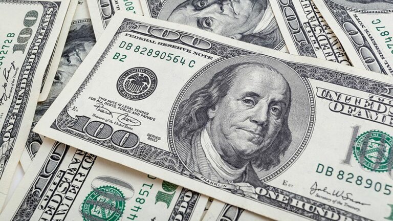 سعر الدولار مقابل الجنيه المصري اليوم الاربعاء 29-1-2025