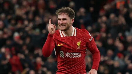 فيديو | أسيست محمد صلاح.. ماك أليستر يسجل هدف ليفربول الثاني أمام نيوكاسل