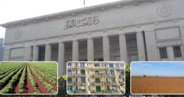 النقض تجيز الطعن على حكم صحة التوقيع حتى ولو أصبح نهائيا.. برلماني