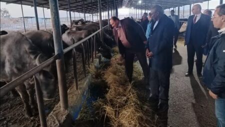 وزيرا الثروة الحيوانية والري في زامبيا يتفقدان مزرعة الإنتاج الحيواني ومركز التلقيح الاصطناعي