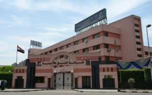 النيل للأدوية تحقق أرباحًا تلامس 200 مليون جنيه خلال 5 أشهر