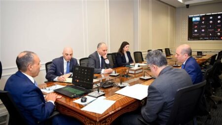 وزير الخارجية يعقد اجتماعا افتراضيا مع سفراء مصر بالخارج