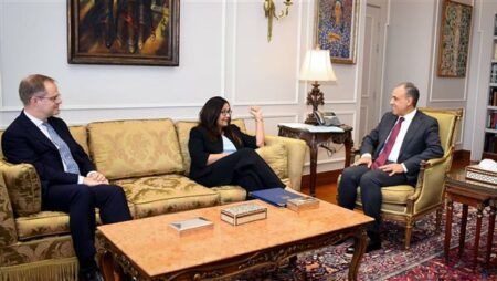 وزير الخارجية يستقبل المبعوث التجاري البريطاني الخاص لمصر