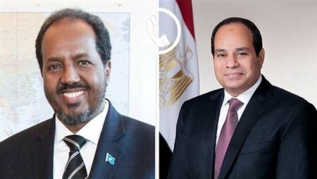 دعم مقدشيو وتعزيز التعاون المشترك.. تفاصيل مباحثات السيسي ونظيره الصومالي