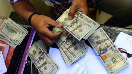 كيف أثرت تحويلات المصريين العاملين بالخارج على الاقتصاد المصري وتنفيذ المشاريع؟
