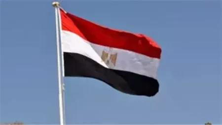 الهيئة العامة للاستعلامات: مصر تؤكد رفضها القاطع لتهجير الفلسطينيين