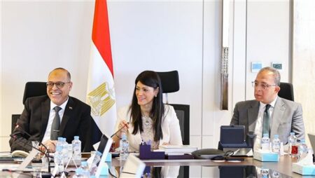 وزيرا «التخطيط» و«العمل» يطلقان منصة «آفاق الفرص والوظائف في مصر»
