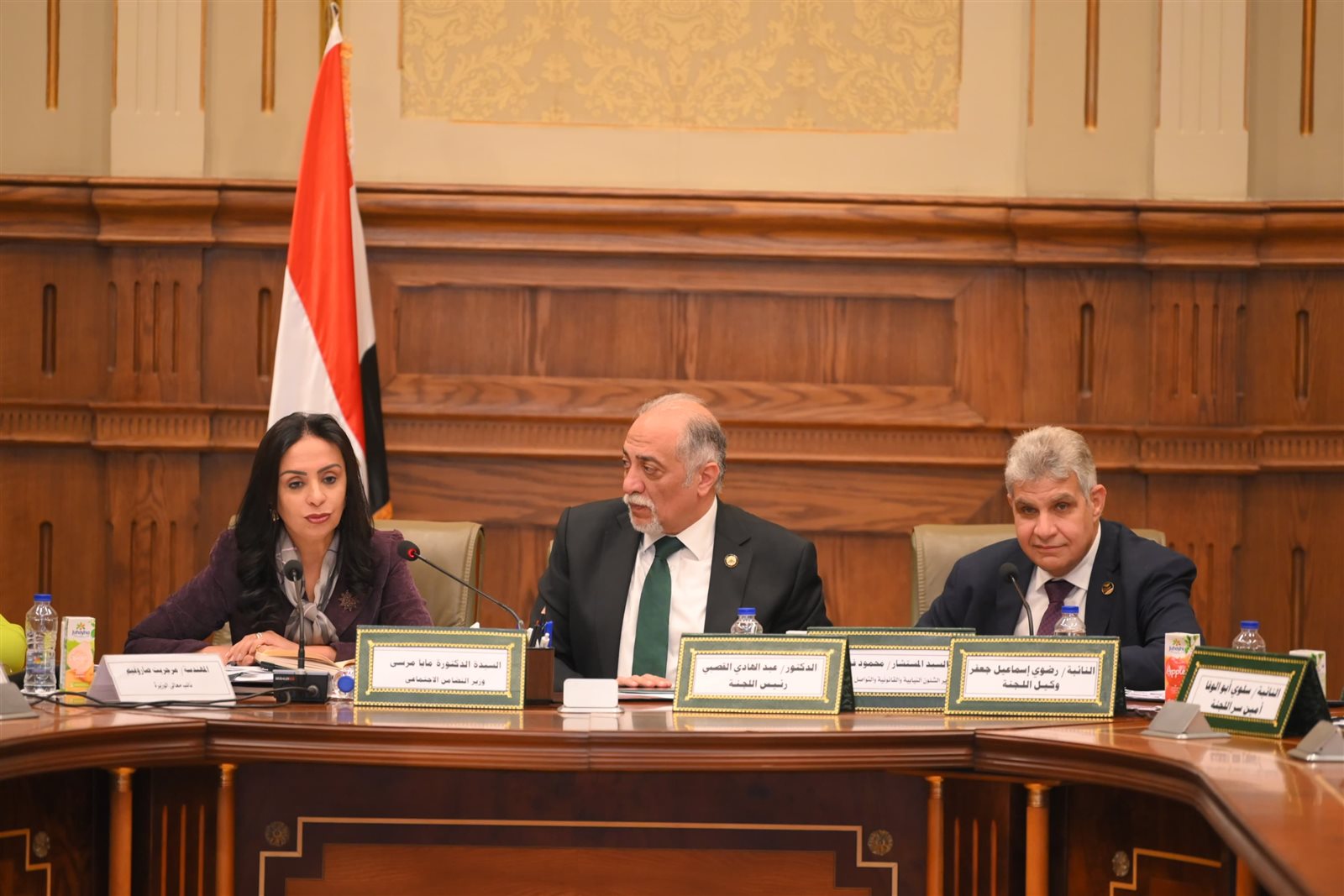 وزيرة التضامن تشارك في اجتماع لجنة التضامن والأسرة والأشخاص ذوي الإعاقة بمجلس النواب 1 وزيرة التضامن تشارك في اجتماع لجنة التضامن والأسرة والأشخاص ذوي الإعاقة بمجلس النواب