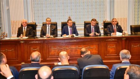 علاء فاروق: الحكومة ملتزمة بسداد مستحقات مزارعي القطن