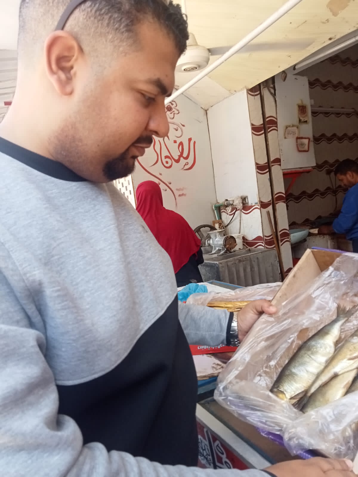 ضبط 3.5 طن أسماك مملحة ومصنعات لحوم ودواجن فاسدة في الجيزة.. صور
