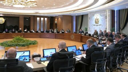 "المالية" تسدد 3 مليارات جنيه الأسبوع المقبل باقي مستحقات المزارعين الذين وردوا محصول القطن
