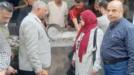 الجيزة تحذر المواطنين: تأكدوا من صلاحية الرنجة والفسيخ قبل تناولها