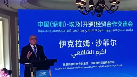 مليار دولار حجم التبادل التجاري بين مصر ومقاطعة شيزن العام الماضي