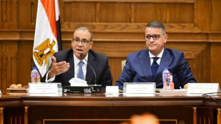 وزير الخارجية والهجرة يلتقي رئيس مجلس الشيوخ