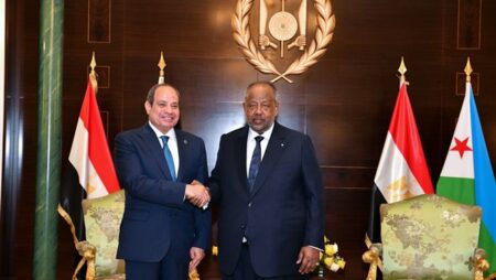تفاصيل زيارة الرئيس السيسي لدولة جيبوتي.. شاهد