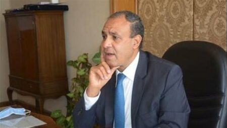 وزير الخارجية والهجرة يلتقي الرئيس الصومالي