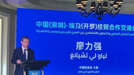 الصين الشريك التجاري الأول لمصر للعام الثاني عشر على التوالي