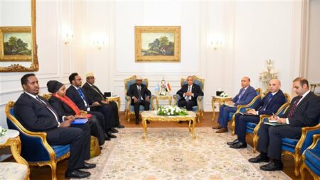وزير الخارجية يلتقي نظيره الصومالي