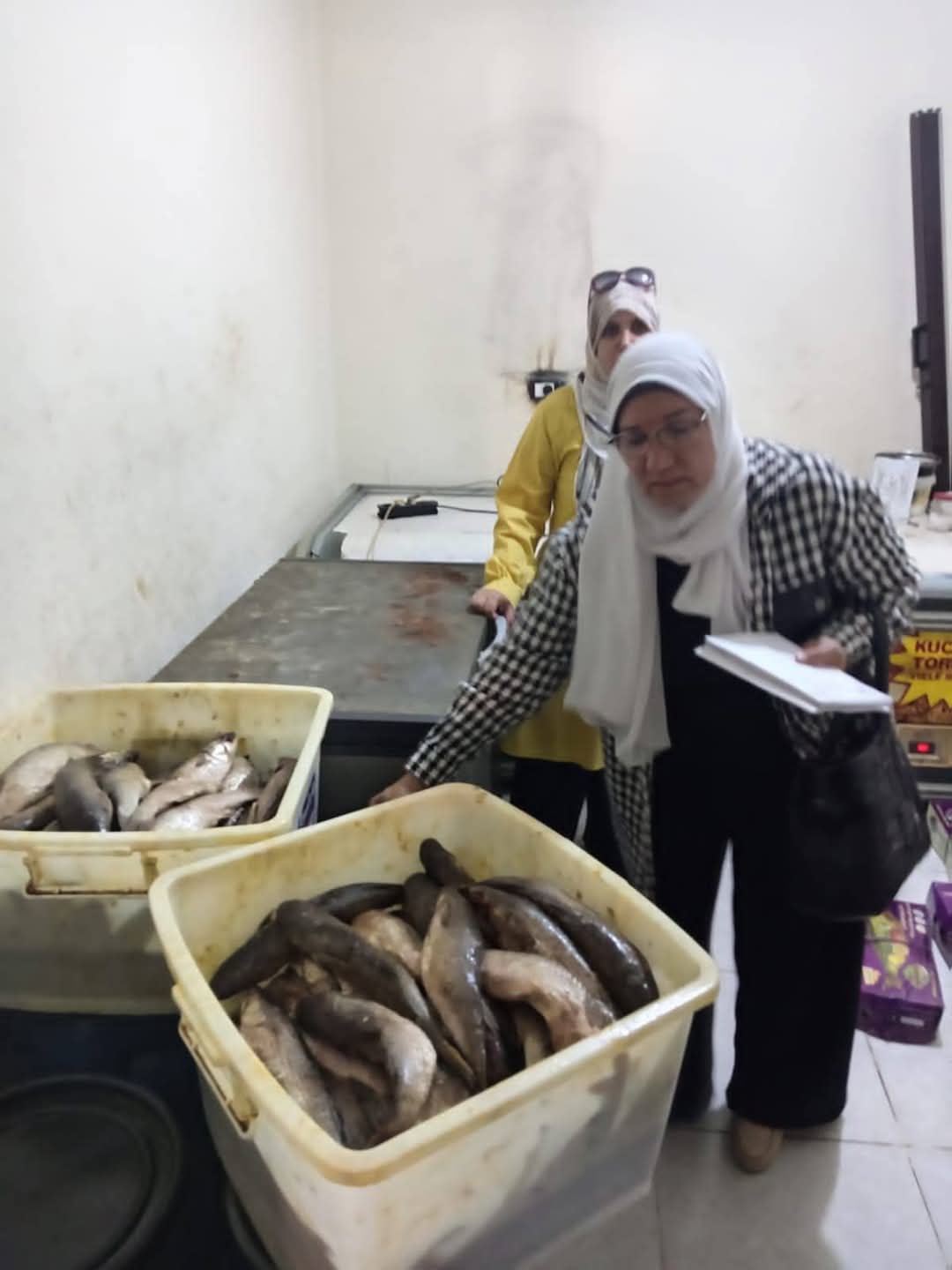الجيزة تحذر المواطنين: تأكدوا من صلاحية الرنجة والفسيخ قبل تناولها 6 الجيزة تحذر المواطنين: تأكدوا من صلاحية الرنجة والفسيخ قبل تناولها