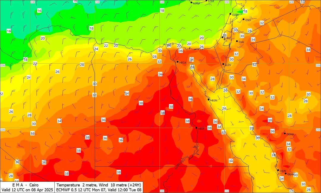 أخبار مصر اليوم.. السيسي وماكرون يزوران العريش.. مدبولي يترأس اجتماعات مهمة.. افتتاح مشروعات جديدة لدعم الاقتصاد والتنمية