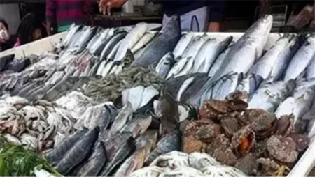 سعر الأسماك اليوم 25-4-2025