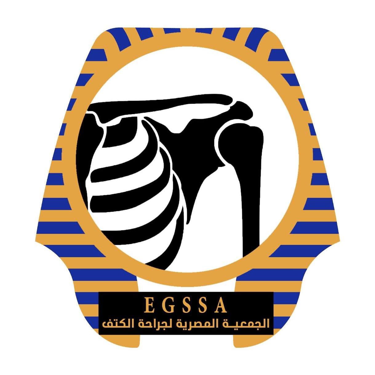 بمشاركة نخبة من الأطباء والخبراء.. غدَا المؤتمر الدولي للجمعية المصرية لجراحة الكتف والمرفق للرياضيين 1 بمشاركة نخبة من الأطباء والخبراء.. غدَا المؤتمر الدولي للجمعية المصرية لجراحة الكتف والمرفق للرياضيين
