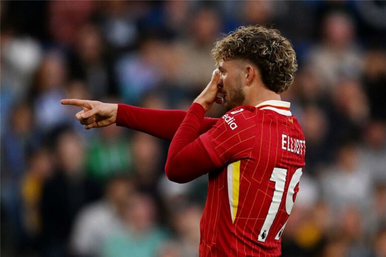 فيديو | بمساهمة محمد صلاح.. هارفي إليوت يسجل هدف ليفربول الأول أمام برايتون فيديو | بمساهمة محمد صلاح.. هارفي إليوت يسجل هدف ليفربول الأول أمام برايتون