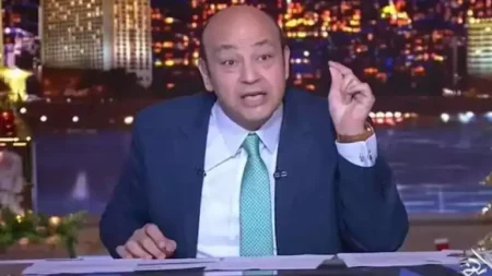 "عايشه معاه في البيت"..عمرو أديب يكشف مفاجأة عن أزمة بوسي شلبي وورثة محمود عبد العزيز