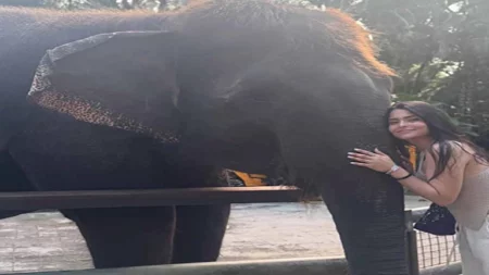مع "فيل".. أسماء جلال تنشر صورا من رحلة ترفيهية وعمرو وهبة يعلق