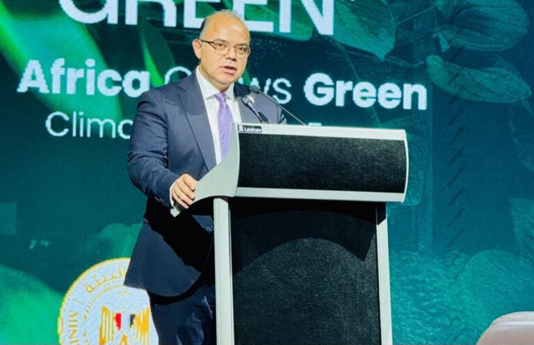 رئيس الرقابة المالية: تطوير أدوات مالية مبتكرة لدعم تنفيذ مشروعات مستدامة