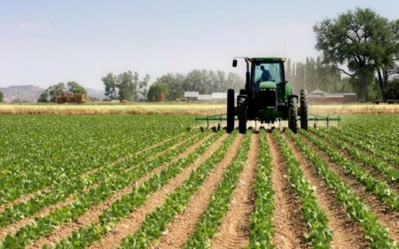 العربية لاستصلاح الأراضي تستهدف أكثر من 6 مليون جنيه أرباحا في موازنة العام المالي المقبل 