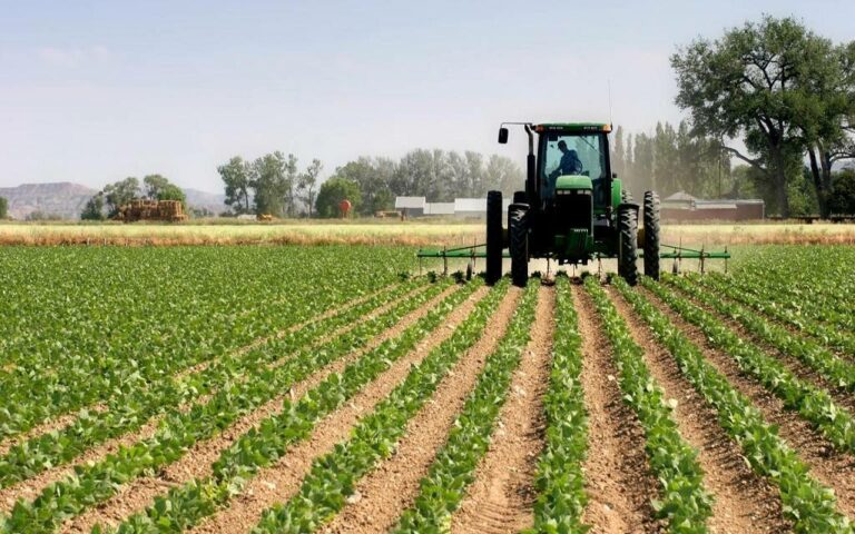 العربية لاستصلاح الأراضي تستهدف أكثر من 6 مليون جنيه أرباحا في موازنة العام المالي المقبل 
