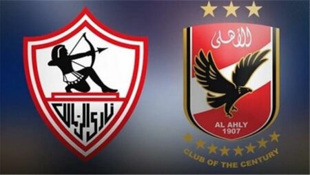 منها الأهلي والزمالك.. وزارة الرياضة تعلن دعم 5 أندية جماهيرية