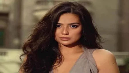ثراء جبيل تعلن حملها وتنتظر مولودها الأول