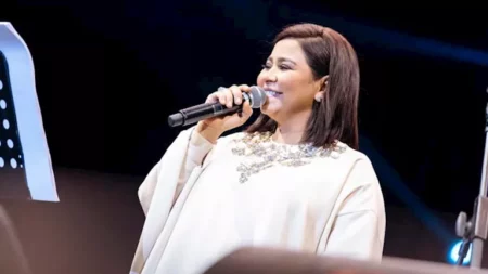 مدين يوجه رسالة دعم لشيرين عبدالوهاب: "هي حالة استثنائية"