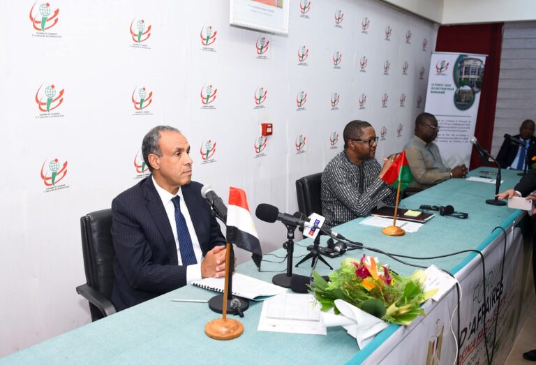 وزير الخارجية: 6.5 مليار دولار صادرات مصرية موجهة للأسواق الإفريقية