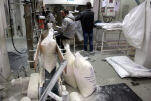 «مطاحن جنوب القاهرة والجيزة» تُضاعف أرباحها 2.5 مرة خلال العام المالي الجاري 