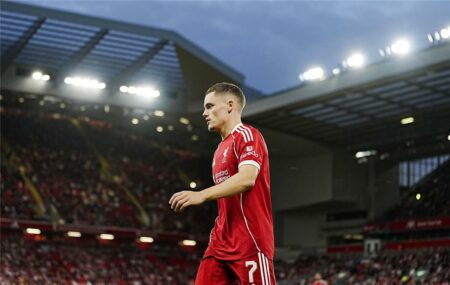 فيرتز يكشف طموحه مع ليفربول ويؤكد: لن أتأثر كوني الأغلى في تاريخ الدوري الإنجليزي