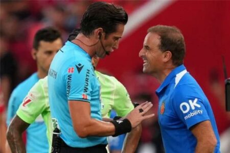 مدرب مايوركا يفجر مفاجأة بشأن هدف فيران توريس المثير للجدل