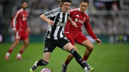 فيديو | فان دايك يتسبب في طرد أنتوني جوردون بمباراة ليفربول ونيوكاسل فيديو | فان دايك يتسبب في طرد أنتوني جوردون بمباراة ليفربول ونيوكاسل