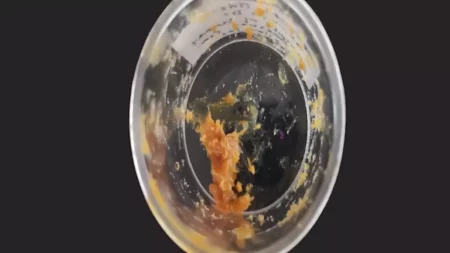 اكتشاف عسل عمره 2500 عام داخل ضريح أثري في إيطاليا