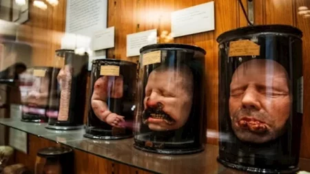 بينها جماجم وأعضاء.. متحف أمريكي يعرض 35 ألف قطعة من بقايا البشر (صور) بينها جماجم وأعضاء.. متحف أمريكي يعرض 35 ألف قطعة من بقايا البشر (صور)