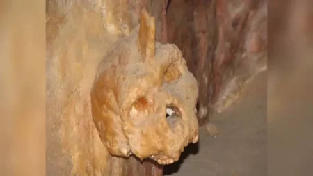 جمجمة بيترالونا الغامضة.. كشف جديد يحدد هويتها بعد ستة عقود من الجدل