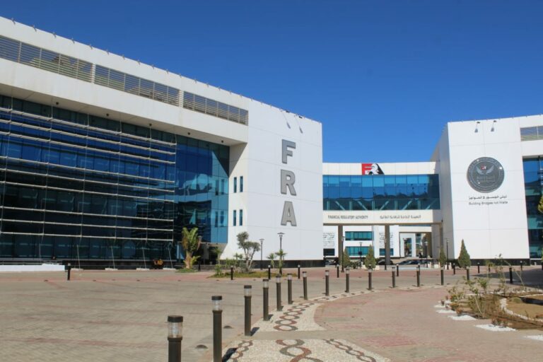 الرقابة المالية تتخذ إجراءات ضد «نيوداب» لكشفها مخالفات