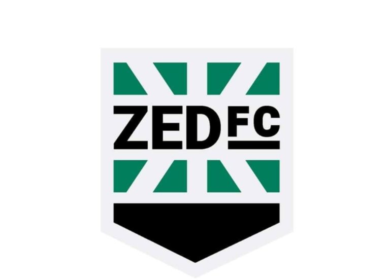 رسميًا.. زد يعوض وليد صلاح الدين بمدير الكرة السابق في الأهلي