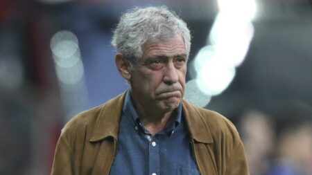 خاص | حقيقة اجتماع زووم بين الأهلي وفرناندو سانتوس.. وإشادة رائعة من البرتغالي