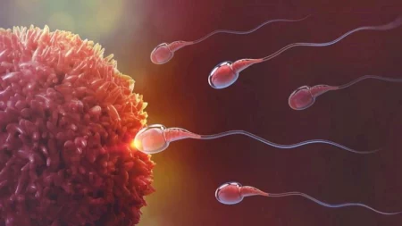 علماء يحولون الحيوانات المنوية إلى روبوتات لعلاج العقم "تفاصيل"