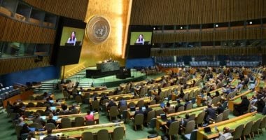 نائب بـ"الشيوخ" : التصويت الأممي لإقامة الدولة الفلسطينية انتصار للإرادة الدولية