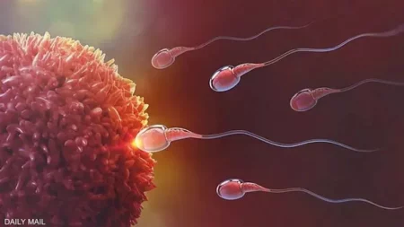 دراسة جديدة تكشف مفاجأة عن دواء شهير قد يعالج عقم الرجال