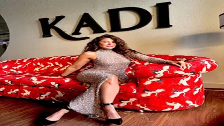 بفستان لامع.. هيدي كرم تخطف الأنظار بإطلالتها